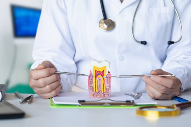 Best Emergency Cosmetic Dentistry in Liberty City, TX
